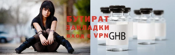 индика Няндома