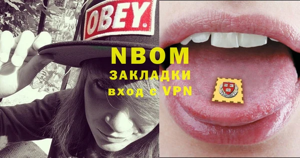 индика Няндома