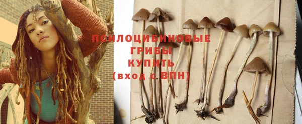 первитин Нязепетровск