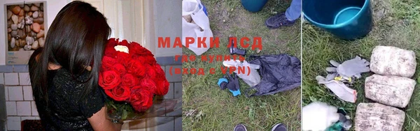 индика Няндома